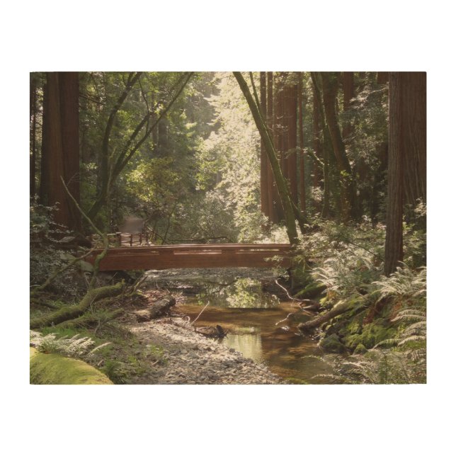 Muir Woods Bridge II Wood Wall Art (Front)