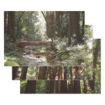 Muir Woods Bridge II Wrapping Paper Sheets