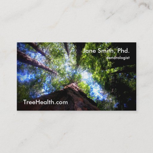 Customizable Muir Woods Business Cards