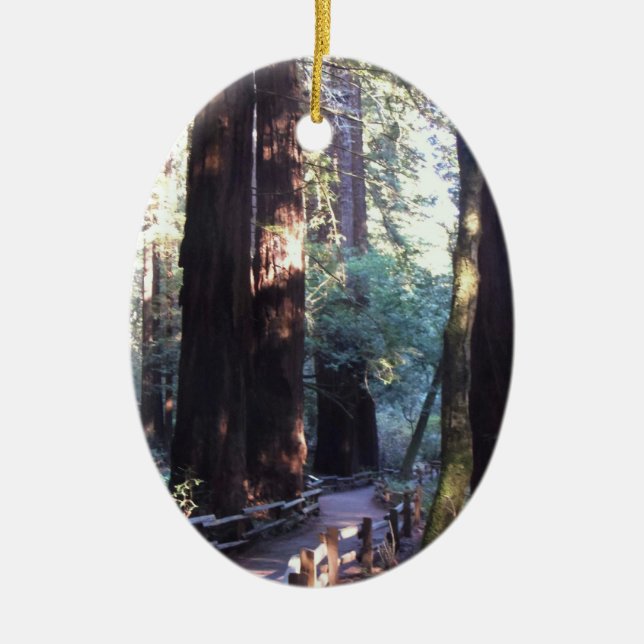 Muir Woods Ceramic Ornament (Front)