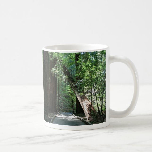 "Muir Woods" Coffee Mug (Right)