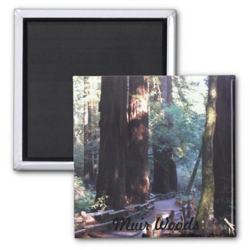 Muir Woods Magnet