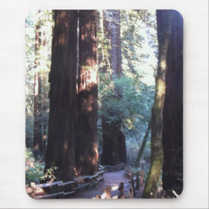 Muir Woods Mouse Pad