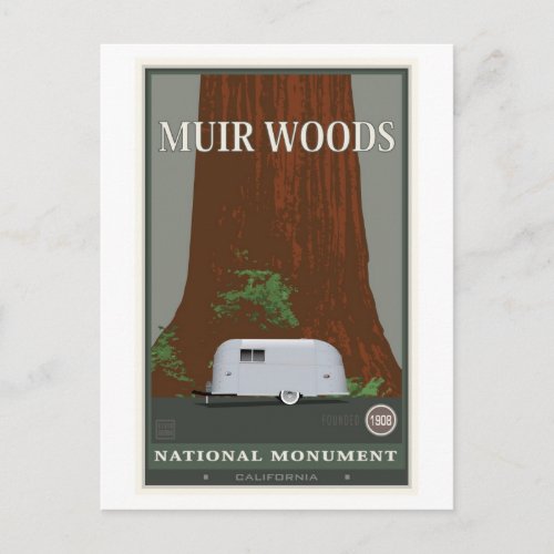 Muir Woods National Monument 1 Postcard