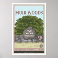 Muir Woods National Monument 2 Poster