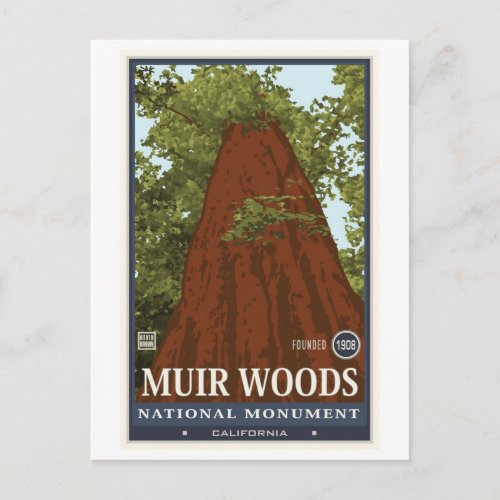 Muir Woods National Monument 3 Postcard