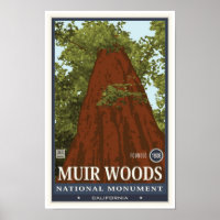 Muir Woods National Monument 3 Poster