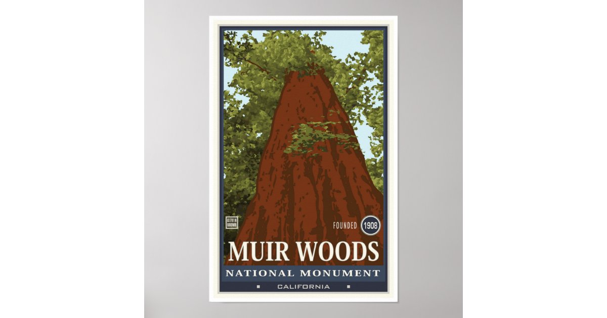 Muir Woods National Monument 3 Poster Zazzle