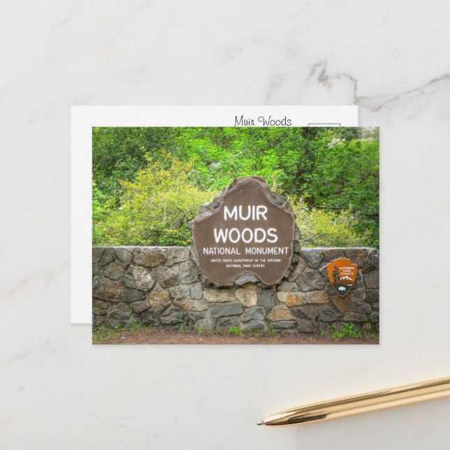 Muir Woods National Monument – California Redwood  Postcard (Front/Back In Situ)