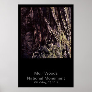 Muir Woods National Monument Color (Dark) Poster