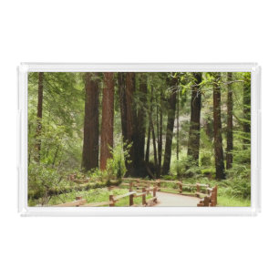 Muir Woods Path I Nature Photography Acrylic Tray