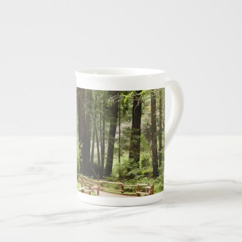 Muir Woods Path I Nature Photography Bone China Mug