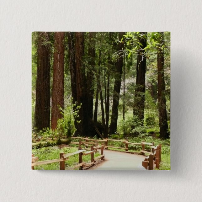 Muir Woods Path I Nature Photography Button (Front)