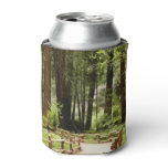 Muir Woods Path I Nature Photography Can Cooler
