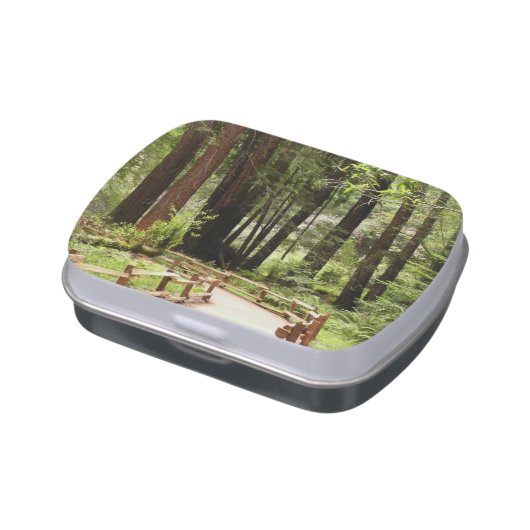 Muir Woods Path I Nature Photography Candy Tin (Side)