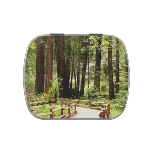 Muir Woods Path I Nature Photography Candy Tin (Top)
