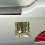 Muir Woods Path I Nature Photography Car Magnet