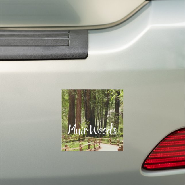 Muir Woods Path I Nature Photography Car Magnet (In Situ)