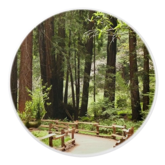 Muir Woods Path I Nature Photography Ceramic Knob (Front)