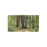 Muir Woods Path I Nature Photography Checkbook Cover