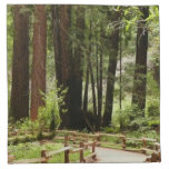 Muir Woods Path I Nature Photography Cloth Napkin