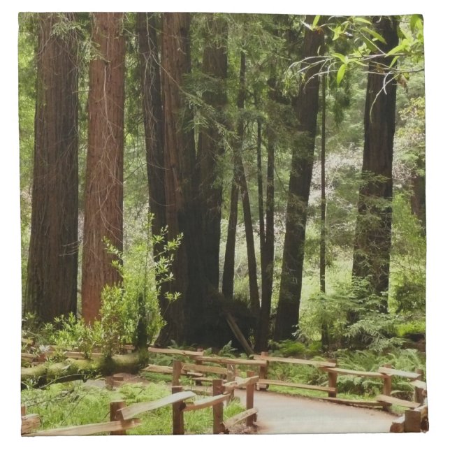 Muir Woods Path I Nature Photography Cloth Napkin (Front)