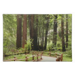 Muir Woods Path I Nature Photography Cloth Placemat