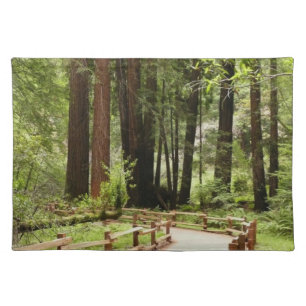 Muir Woods Path I Nature Photography Cloth Placemat