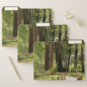 Muir Woods Path I Nature Photography File Folder