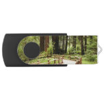 Muir Woods Path I Nature Photography Flash Drive