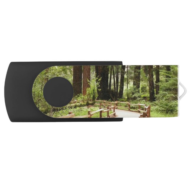 Muir Woods Path I Nature Photography Flash Drive (Front)
