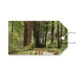 Muir Woods Path I Nature Photography Gift Tags