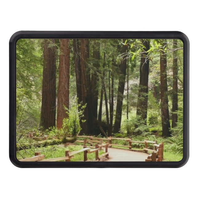 Muir Woods Path I Nature Photography Hitch Cover (Front)