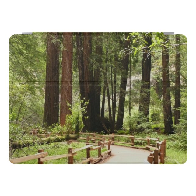 Muir Woods Path I Nature Photography iPad Pro Cover (Horizontal)