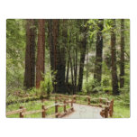 Muir Woods Path I Nature Photography Jigsaw Puzzle