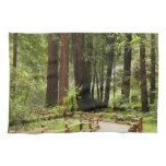 Muir Woods Path I Nature Photography Kitchen Towel
