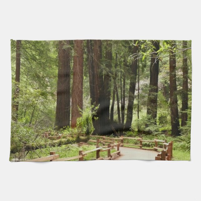 Muir Woods Path I Nature Photography Kitchen Towel (Horizontal)