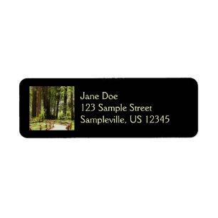Muir Woods Path I Nature Photography Label