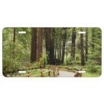Muir Woods Path I Nature Photography License Plate