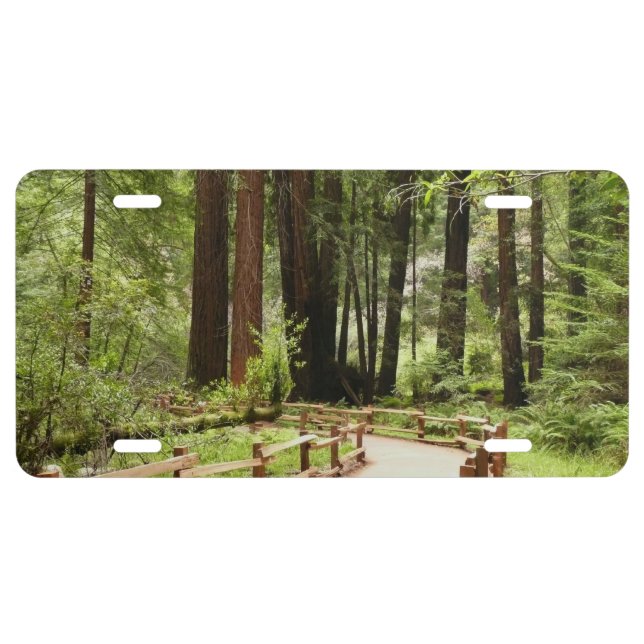 Muir Woods Path I Nature Photography License Plate (Front)