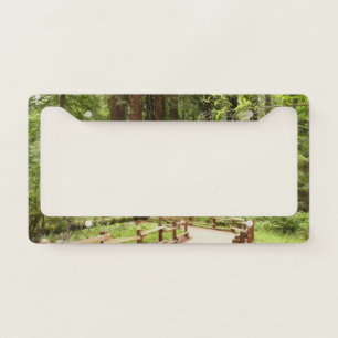 Muir Woods Path I Nature Photography License Plate Frame