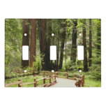 Muir Woods Path I Nature Photography Light Switch Cover