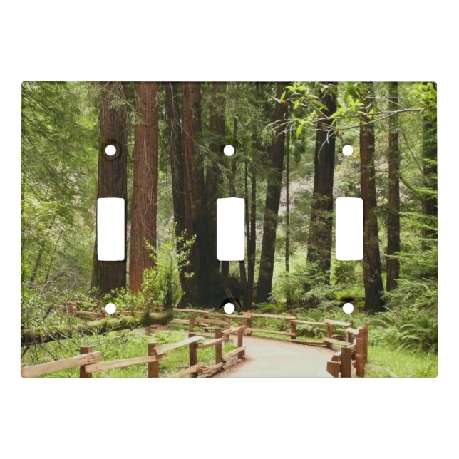 Muir Woods Path I Nature Photography Light Switch Cover (Front)