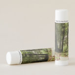 Muir Woods Path I Nature Photography Lip Balm