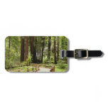 Muir Woods Path I Nature Photography Luggage Tag