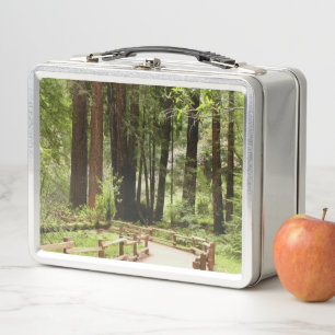Muir Woods Path I Nature Photography Metal Lunch Box