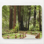 Muir Woods Path I Nature Photography Mouse Pad
