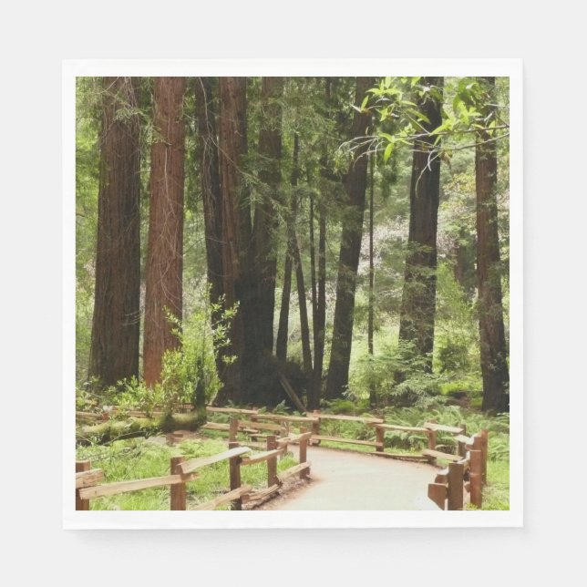 Muir Woods Path I Nature Photography Napkins (Front)