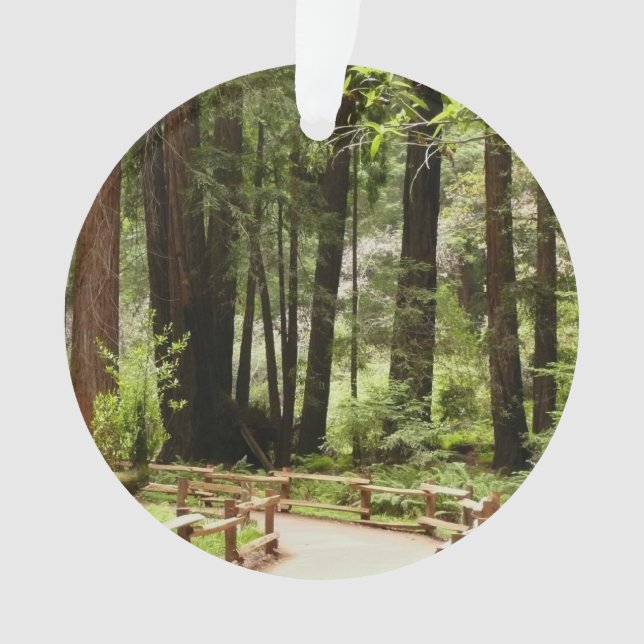 Muir Woods Path I Nature Photography Ornament (Front)