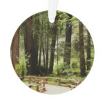 Muir Woods Path I Nature Photography Ornament